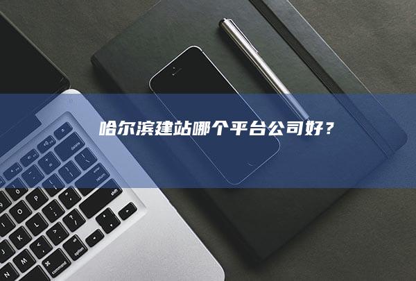 哈尔滨建站哪个平台/公司好？