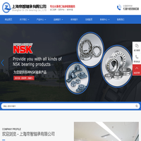 SKF轴承-FAG轴承-NTN轴承-BIT轴承-上海帝智轴承有限公司