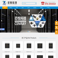 深圳市芯悦科技有限公司