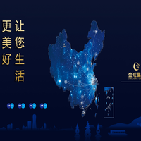 金成集团