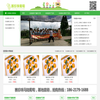 马陆葡萄网-马陆葡萄采摘攻略|新品种|礼盒装|价格多少钱一斤