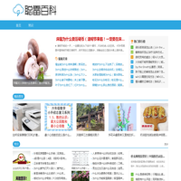 聪雷百科