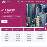 大旗财税-企业出海专家,企业出海服务商,中企出海咨询选大旗