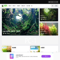 水草网 – 水草造景-水草百科-水草爱好者之家!