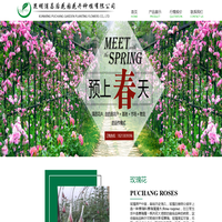 昆明玫瑰花苗_昆明鲜花_昆明花苗批发-昆明浦昌后花园花卉种植有限公司