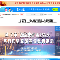 长江网 - 国家重点新闻网