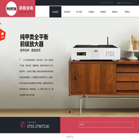 深圳派扬音响有限公司